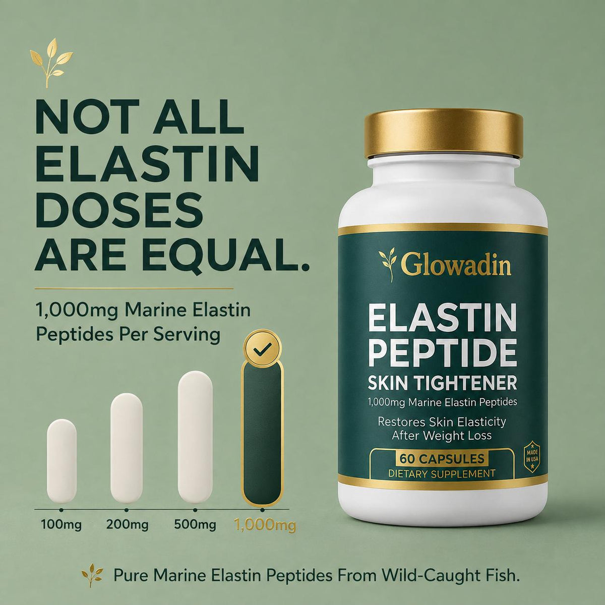 Elastin Peptides with 1.000mg of Pure Marine